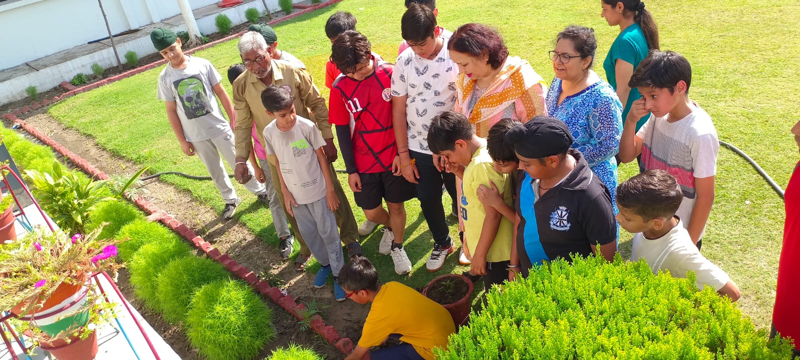 Tree Plantation and Awareness Programme on World Environment Day