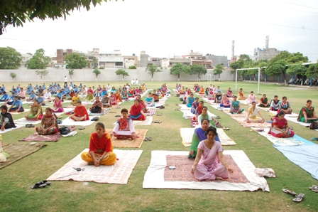 International Yoga Day Celebrated