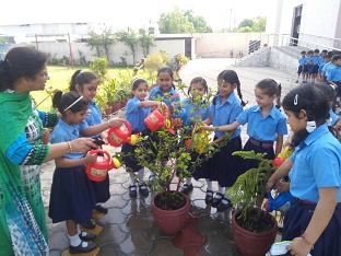 BVM celebrated its foundation day by organizing a Grand Fiesta of activities