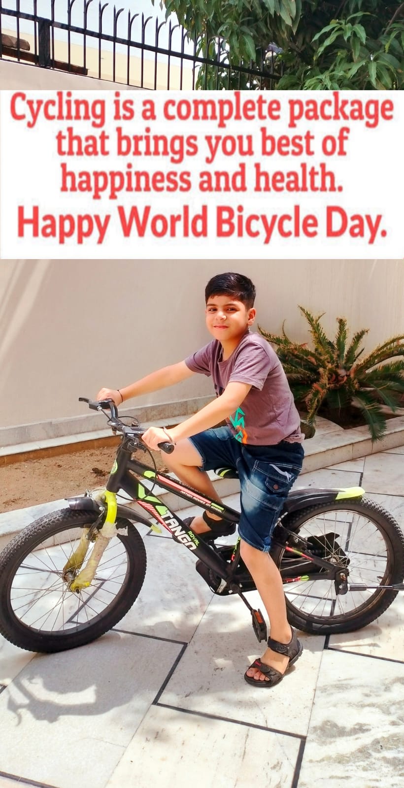 BVM Kitchlu Nagar virtually observed *International Bicycle Day*